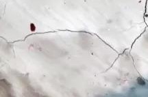 888腾博会官网-诚信为本,专业服务