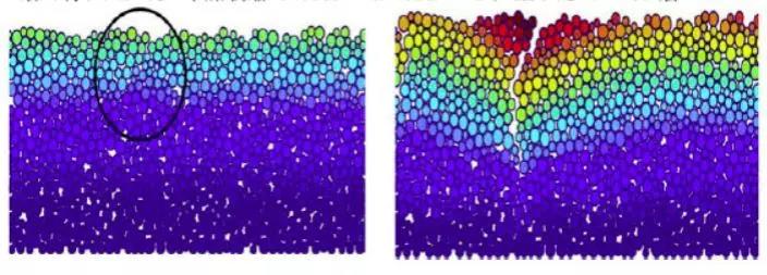 888腾博会官网-诚信为本,专业服务