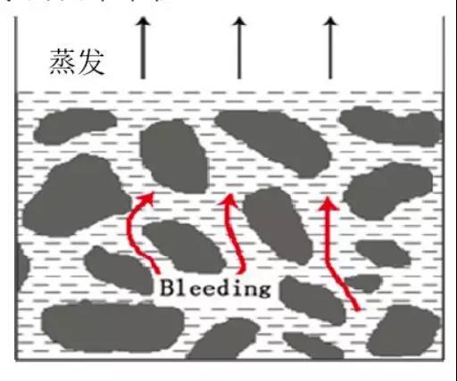 888腾博会官网-诚信为本,专业服务
