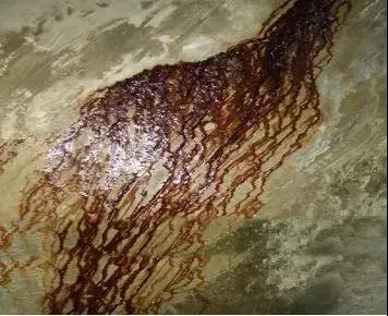 888腾博会官网-诚信为本,专业服务