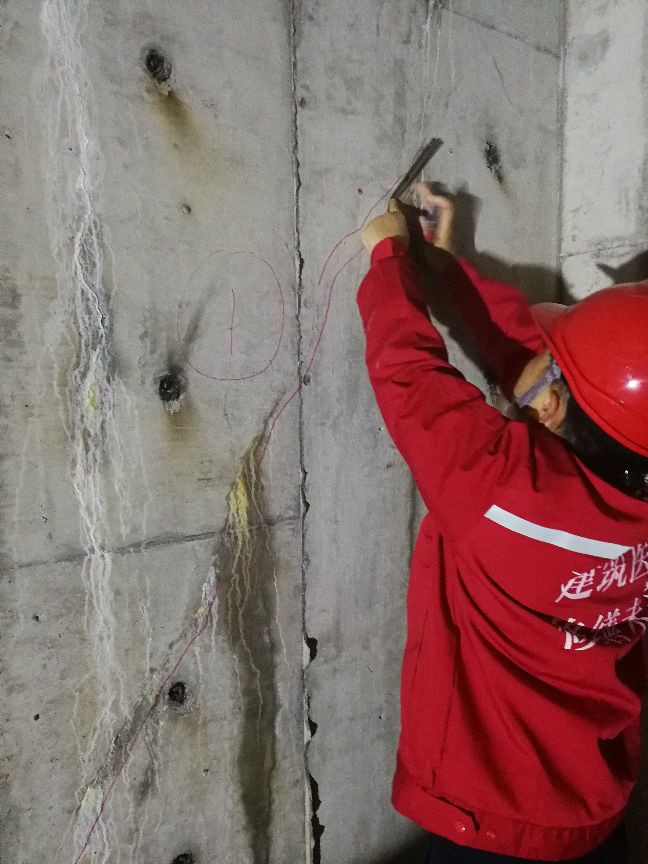 888腾博会官网-诚信为本,专业服务