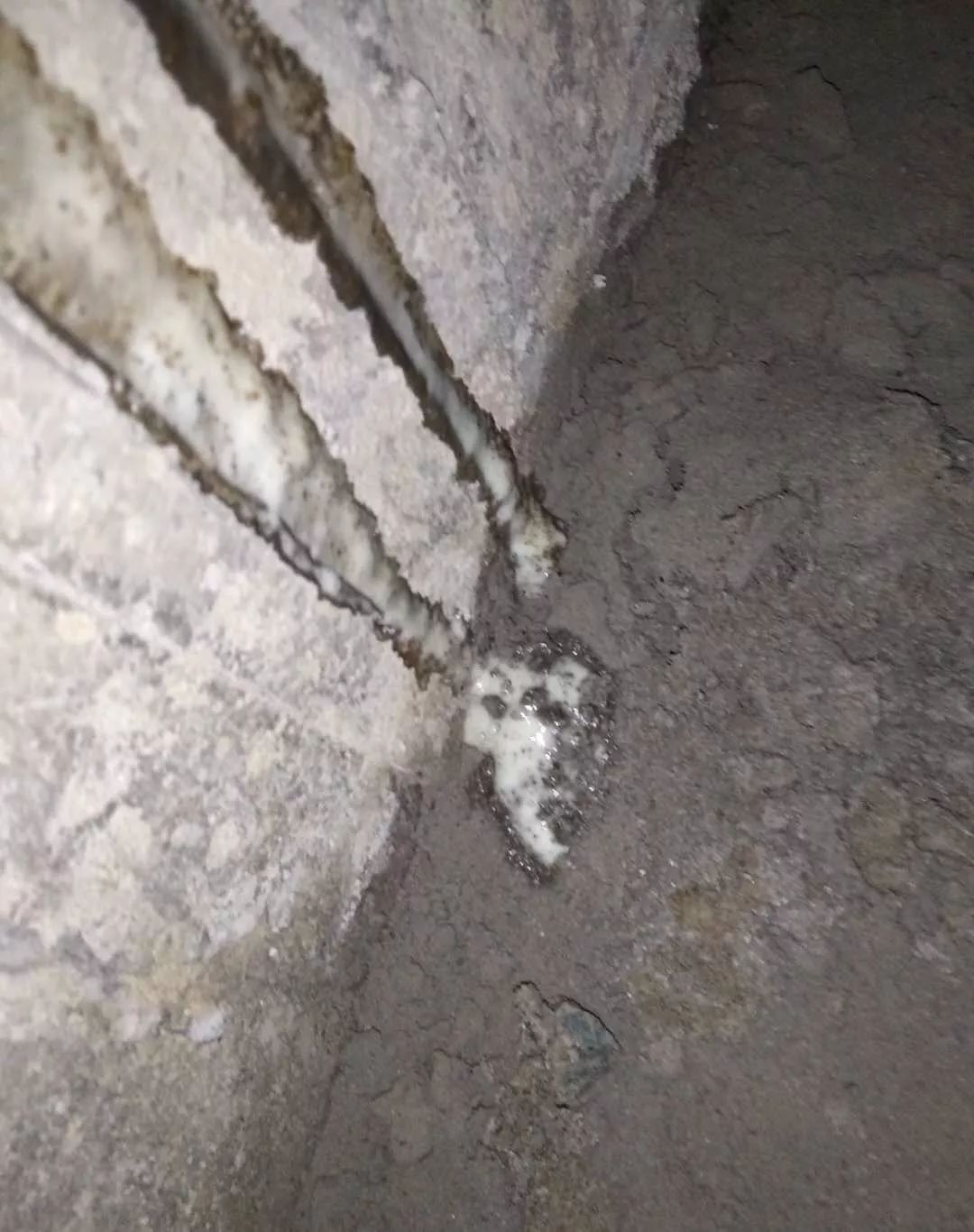 888腾博会官网-诚信为本,专业服务