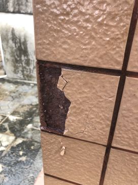 888腾博会官网-诚信为本,专业服务