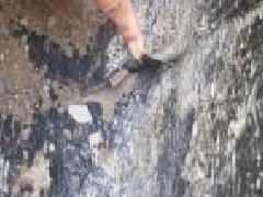 888腾博会官网-诚信为本,专业服务