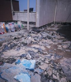 888腾博会官网-诚信为本,专业服务