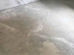 888腾博会官网-诚信为本,专业服务