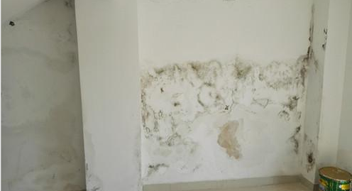 888腾博会官网-诚信为本,专业服务