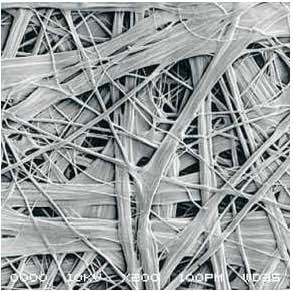 888腾博会官网-诚信为本,专业服务