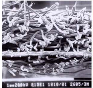 888腾博会官网-诚信为本,专业服务