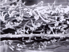 888腾博会官网-诚信为本,专业服务