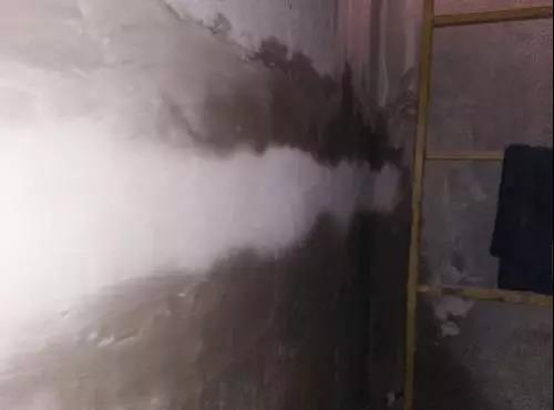 888腾博会官网-诚信为本,专业服务