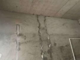 888腾博会官网-诚信为本,专业服务