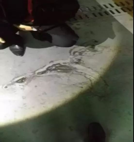 888腾博会官网-诚信为本,专业服务