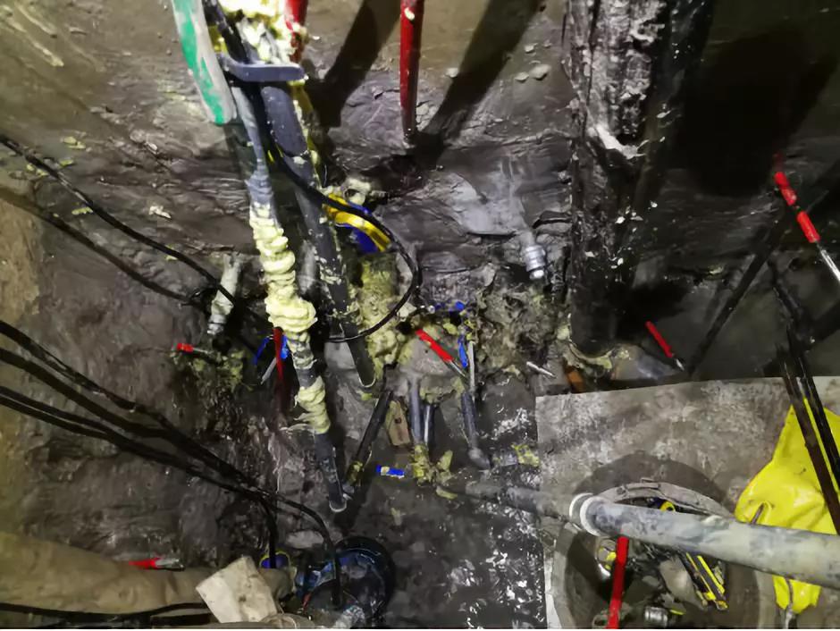 888腾博会官网-诚信为本,专业服务