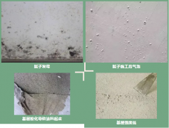 888腾博会官网-诚信为本,专业服务