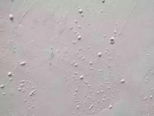 888腾博会官网-诚信为本,专业服务