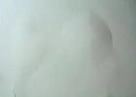 888腾博会官网-诚信为本,专业服务