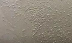 888腾博会官网-诚信为本,专业服务