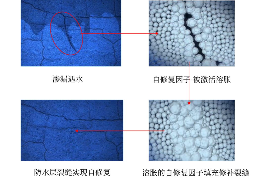 888腾博会官网-诚信为本,专业服务